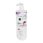 Lonstin Gold Silver Shampoo 500ml