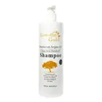 Lonstin Gold Moroccan Argan Oil Clean Anti-Dandruff Shampoo 500ml